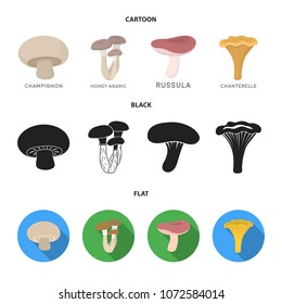 Champignon, honey, agarics, russula, chanterelle. set collection icons in cartoon,black,flat style vector symbol stock illustration web.