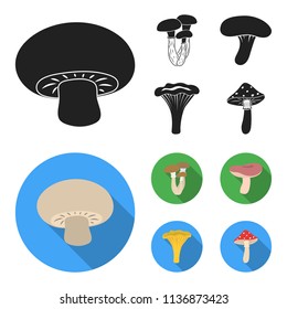 Champignon, honey, agarics, russula, chanterelle. set collection icons in black, flat style vector symbol stock illustration web.