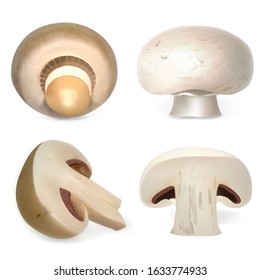 Champignon icon set. Realistic set of champignon vector icons for web design isolated on white background