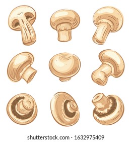 Champignon icons set. Cartoon set of champignon vector icons for web design