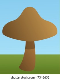 champignon mushroom