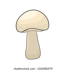 champignon mushroom hand drawn for design 