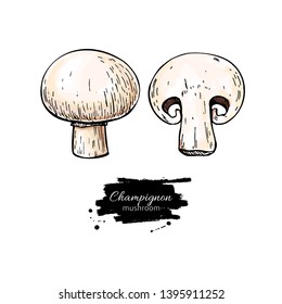 Champignon mushroom hand drawn vector illustration. Sketch food drawing isolated on white background with sliced pieces. Organic vegetarian product. Great  for menu, label, product packaging, recipe