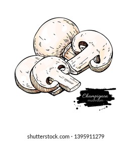 Champignon mushroom hand drawn vector illustration. Sketch food drawing isolated on white background with sliced pieces. Organic vegetarian product. Great  for menu, label, product packaging, recipe