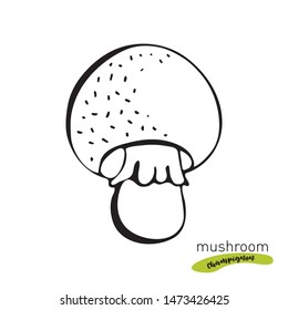 Champignon mushroom hand drawn vector illustration. Sketch food drawing isolated on white background. Organic vegetarian product. Great for menu, label, product packaging, recipe