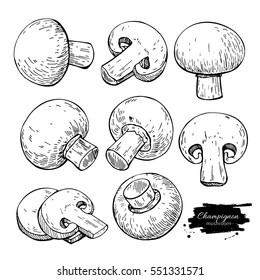 Champignon mushroom hand drawn vector illustration set. Sketch food drawing isolated on white background. Organic vegetarian product. Great  for menu, label, product packaging, recipe