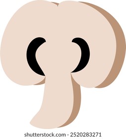 champignon mushroom illustration in vector.