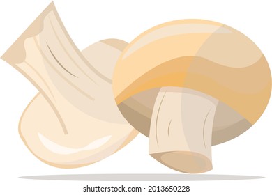 Champignon mushroom, illustration, vector on white background