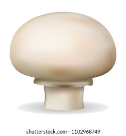 Champignon mushroom mockup. Realistic illustration of champignon mushroom vector mockup for web design isolated on white background