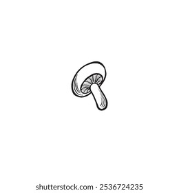 Boceto de champiñón. Vector gráfico línea ilustración dibujado a mano aislado. Doodle blanco y negro. Ingrediente para cocinar la producción. Concepto de bosque salvaje. Clipart para postal, pegatina, menú.