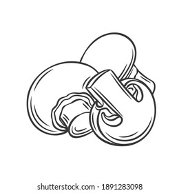 Hongos y rodajas de Champignon, ilustración monocromática de contorno vectorial en boceto a mano. Sabroso ingrediente vegano aislado en blanco. Hongo apetitoso ecológico, elemento de diseño para envoltura de alimentos.