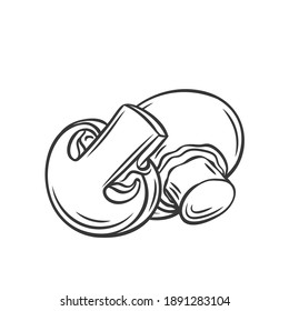Champignon mushroom and slices, vector outline monochrome illustration in sketch hand-drawn style. Tasty vegan ingredient isolated on white. Eco appetizing fungus, design element for food wrapping.