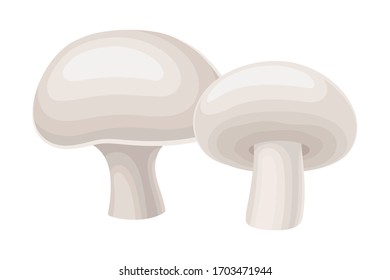 Champignon Mushroom or Toadstool with Stem and Cap Isolated on White Background Vector Illustration