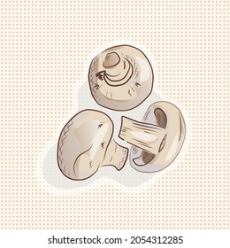 Champignon mushroom vector illustration. Hand drawn