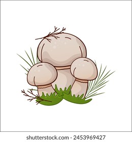 Champignon mushroom vector isolated illustration. Theme of plants, botanists in cartoon. Design element for theme forest mushrooms, menu, ingredients, recipes, organic products, etc.