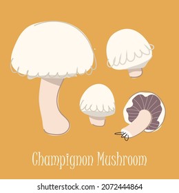 Champignon mushroom vector set. Flat design element isolated on yellow background. Trendy style