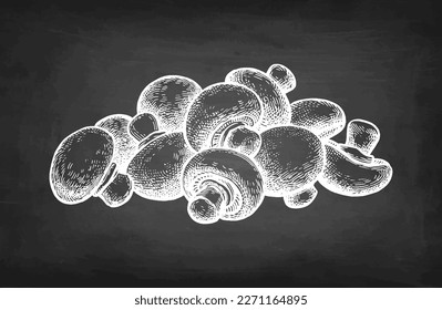 Champignon mushrooms chalk sketch on blackboard background.