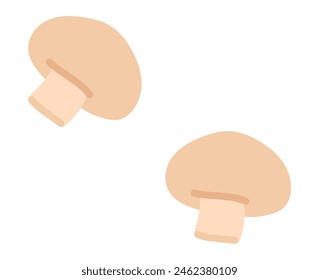 Champignon mushrooms in flat design. Raw eating fungus, fresh products. Vector illustration isolated.