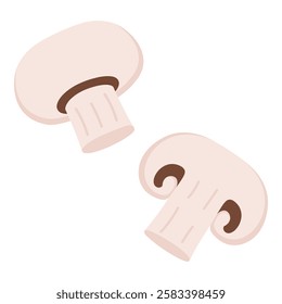 Champignon Mushrooms Hand Drawn on White Background