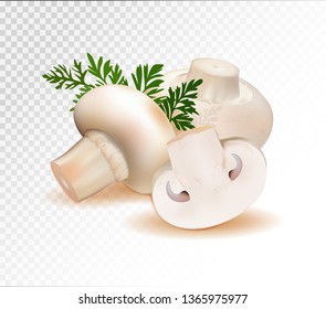 Champignon mushrooms isolated on white background. Quality realistic vector, 3d