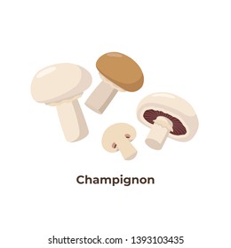 Mushroom Champignon High Res Stock Images Shutterstock