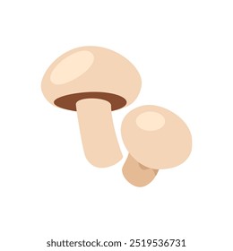 Champignon mushrooms isolated on white background. Vector illustration