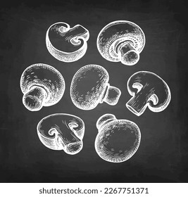 Champignon mushrooms set. Hand drawn ink sketch isolated on white. Vintage style.