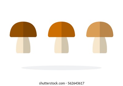 Champignon mushrooms vector flat material design object. Isolated illustration on white background.