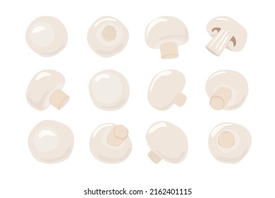 Champignon mushrooms vector illustration set. Freshly champignon. Ripe vegetable mushroom to eating, vegetarian gourmet.