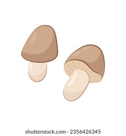 
Champignon mushrooms. Vector illustration of small mushrooms in flat style on a white background.