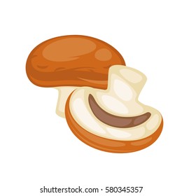 Champignon mushrooms whole and part of it isolated on white. Edible mushrooms that grow in forests or in gardens with short light stem and round brown hat. Ripe mushroom vector illustration.