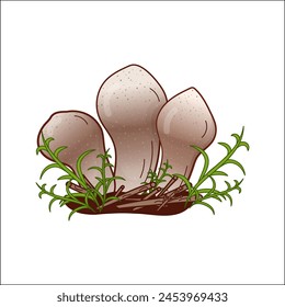 Champignon, puffball mushroom vector isolated illustration. Theme of plants, botanists in cartoon. Design element for theme forest mushrooms, menu, ingredients, recipes, organic products, etc.