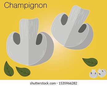 Champignon sketch of organic natural vegetable. Colorful vector illustration can use for promotion, advertisement, with text; for agriculture themes, farm market and label design.