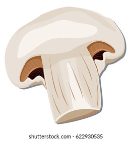 Champignon sliced mushroom. Cartoon vector illustration isolated on white background.