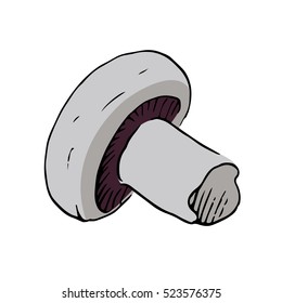 champignon vector scetch