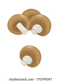champignon. vector simple illustration