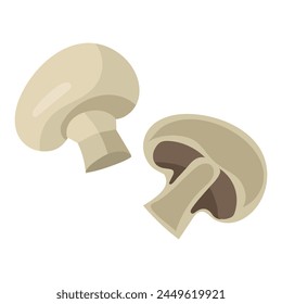 Champignon is whole and cut. Vector illustration of mushroom isolated for universal use in culinary projects such as recipe cards, menu layouts or educational materials promoting healthy eating habits