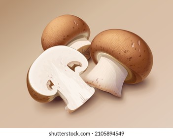 Champignon. Whole and half mushroom, Eps10 vector illustration.