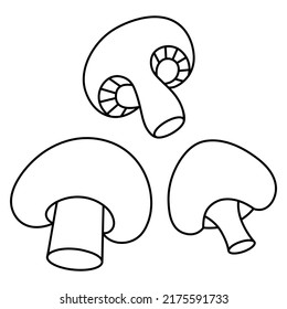 Champignon. Whole and halved mushroom. Sketch. Set of vector illustrations. Edible ingredient with stem and cap. Preparing mushrooms for grilling. Outline on isolated white background. Doodle style. 