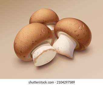 Champignon. Whole mushroom. Eps10 vector illustration.
