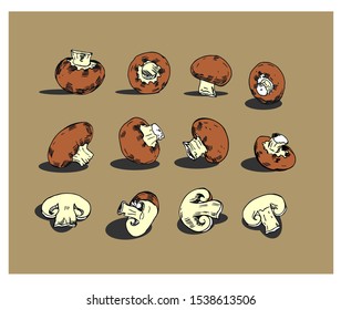 Champignons color vector set. Vegetarian food.