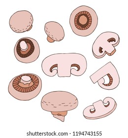 Champignons icons set in hand drawn style. Vector illustration. Isolated on white background
