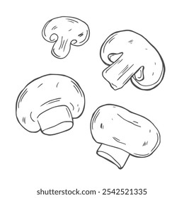 Champignons, mushroom set in hand-drawn, doodles style for kitchen, cooking blog, farmers grocery store, package, poster design online shop.