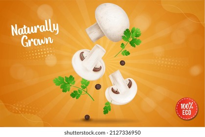 Champignons mushroom vegetable vector illustration with coriander leaves on orange background