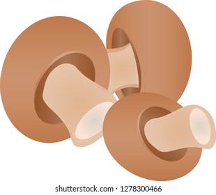 Champignons on a white background
