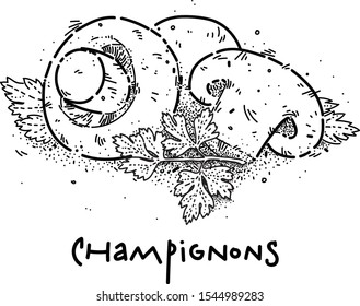 Champignons and parsley leaf are on the table