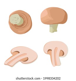 Champignons set. Whole and sliced. Fresh farm market vegetables. Vector illustrations isolated on white background.