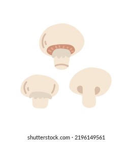 Champignons, vector flat illustration on white background.