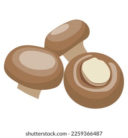 champignons vector illustration on a white background.