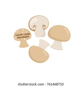 Champingnon mushroom vector

